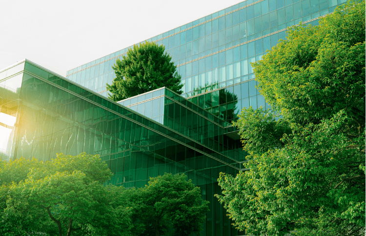 Understanding the New GRI & TCFD Reporting Standards: A Guide for Sustainable Companies