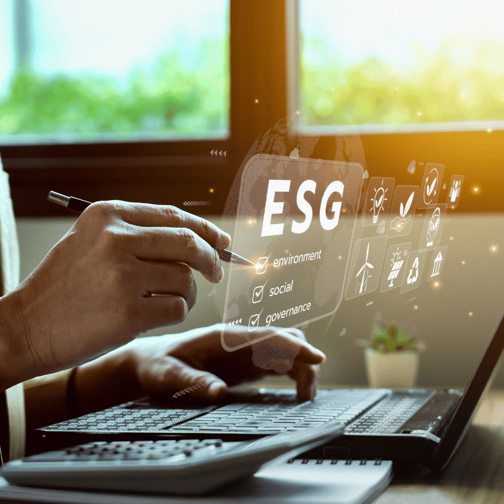 Sustainability & ESG Reporting 