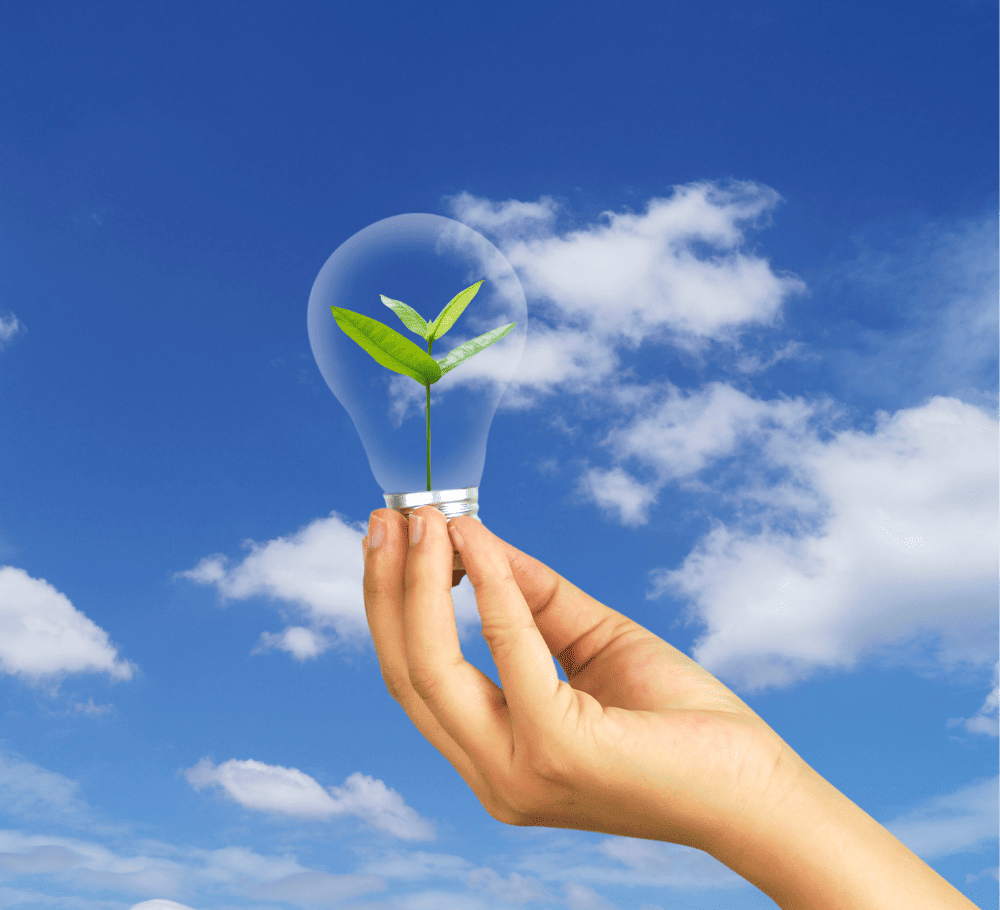 Empowering Sustainability Futures through ESG 